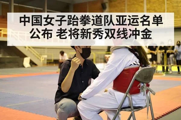 taekwondo competition